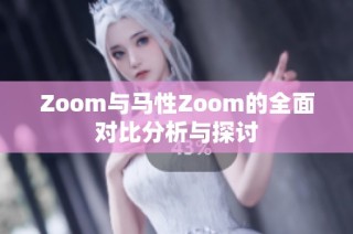 Zoom与马性Zoom的全面对比分析与探讨