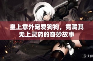 皇上意外宠爱狗狗，竟赐其无上灵药的奇妙故事