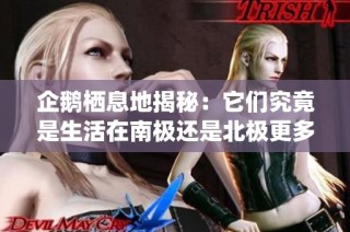 企鹅栖息地揭秘：它们究竟是生活在南极还是北极更多呢
