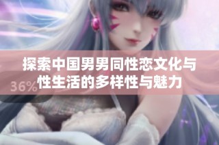 探索中国男男同性恋文化与性生活的多样性与魅力