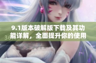9.1版本破解版下载及其功能详解，全面提升你的使用体验