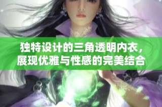 独特设计的三角透明内衣，展现优雅与性感的完美结合