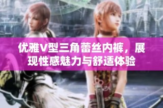 优雅V型三角蕾丝内裤，展现性感魅力与舒适体验