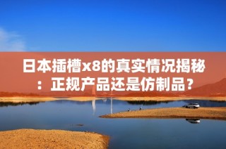 日本插槽x8的真实情况揭秘：正规产品还是仿制品？