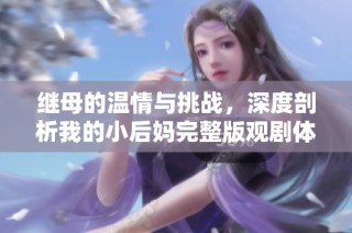 继母的温情与挑战，深度剖析我的小后妈完整版观剧体验