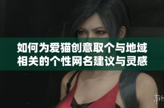 如何为爱猫创意取个与地域相关的个性网名建议与灵感