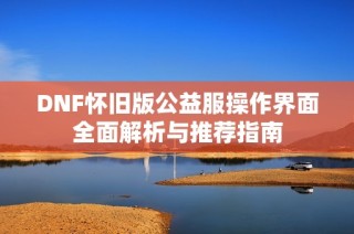 DNF怀旧版公益服操作界面全面解析与推荐指南