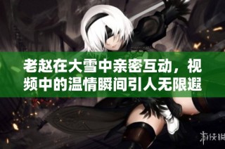 老赵在大雪中亲密互动，视频中的温情瞬间引人无限遐想