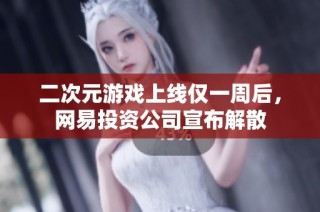 二次元游戏上线仅一周后，网易投资公司宣布解散