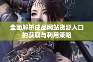全面解析成品网站货源入口的获取与利用策略
