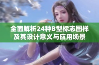 全面解析24种B型标志图样及其设计意义与应用场景
