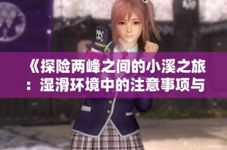 《探险两峰之间的小溪之旅：湿滑环境中的注意事项与安全指南》