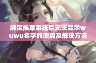 绑定挨草系统后无法显示wuwu名字的原因及解决方法解析