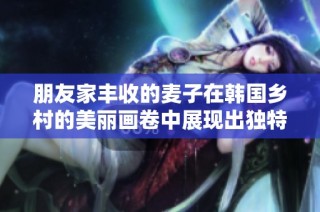 朋友家丰收的麦子在韩国乡村的美丽画卷中展现出独特的韵味与深情