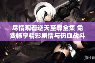 尽情观看逆天至尊全集 免费畅享精彩剧情与热血战斗