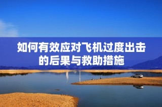 如何有效应对飞机过度出击的后果与救助措施