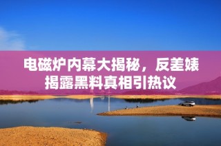 电磁炉内幕大揭秘，反差婊揭露黑料真相引热议