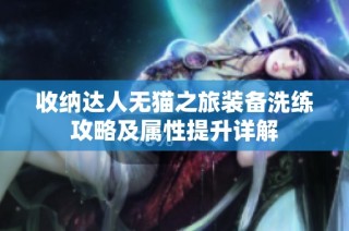 收纳达人无猫之旅装备洗练攻略及属性提升详解