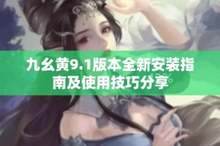 九幺黄9.1版本全新安装指南及使用技巧分享