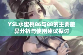 YSL水蜜桃86与88的主要差异分析与使用建议探讨