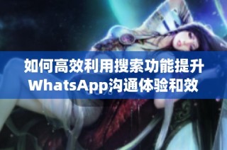 如何高效利用搜索功能提升WhatsApp沟通体验和效率