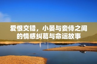 爱恨交错，小晏与妾侍之间的情感纠葛与命运故事