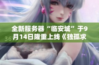 全新服务器“临安城”于9月14日隆重上线《独孤求败》