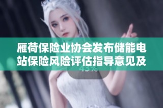 雁荷保险业协会发布储能电站保险风险评估指导意见及报告