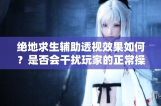 绝地求生辅助透视效果如何？是否会干扰玩家的正常操作体验