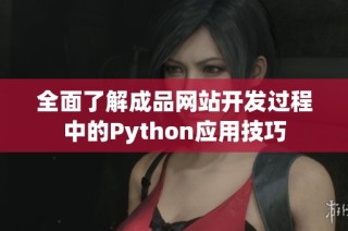 全面了解成品网站开发过程中的Python应用技巧