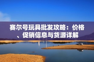 赛尔号玩具批发攻略：价格、促销信息与货源详解