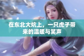 在东北大炕上，一只虎子带来的温暖与笑声