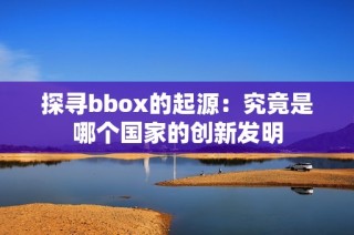 探寻bbox的起源：究竟是哪个国家的创新发明
