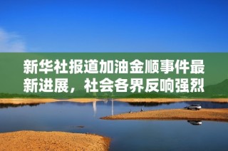 新华社报道加油金顺事件最新进展，社会各界反响强烈