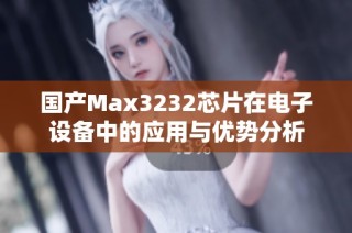 国产Max3232芯片在电子设备中的应用与优势分析