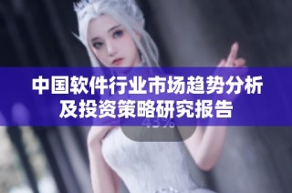 中国软件行业市场趋势分析及投资策略研究报告