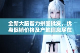 全新大脑智力拼图批发，优惠促销价格及产地信息尽在这里