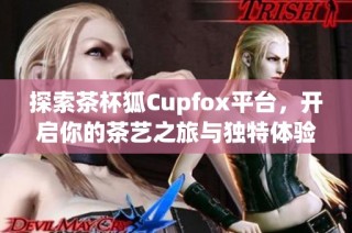 探索茶杯狐Cupfox平台，开启你的茶艺之旅与独特体验