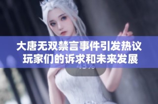 大唐无双禁言事件引发热议 玩家们的诉求和未来发展之路