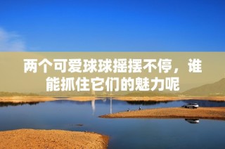 两个可爱球球摇摆不停，谁能抓住它们的魅力呢