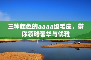 三种颜色的aaaa级毛皮，带你领略奢华与优雅