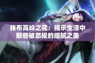 抹布高岭之花：揭示生活中那些被忽视的细腻之美