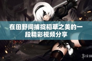 在田野间捕捉稻草之美的一段精彩视频分享