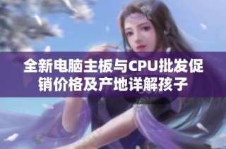 全新电脑主板与CPU批发促销价格及产地详解孩子