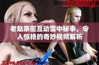 老赵亲密互动雪中秘事，令人惊艳的奇妙视频解析