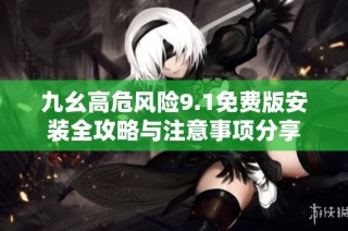 九幺高危风险9.1免费版安装全攻略与注意事项分享