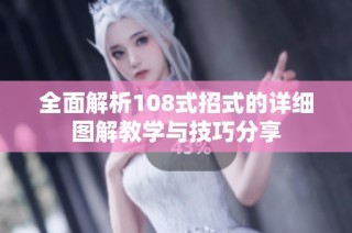 全面解析108式招式的详细图解教学与技巧分享