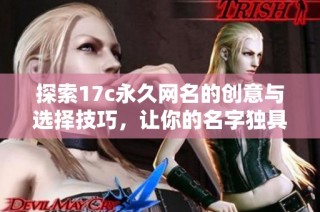 探索17c永久网名的创意与选择技巧，让你的名字独具特色