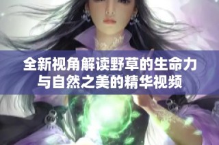 全新视角解读野草的生命力与自然之美的精华视频