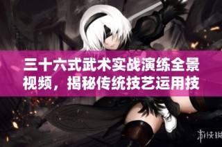 三十六式武术实战演练全景视频，揭秘传统技艺运用技巧
